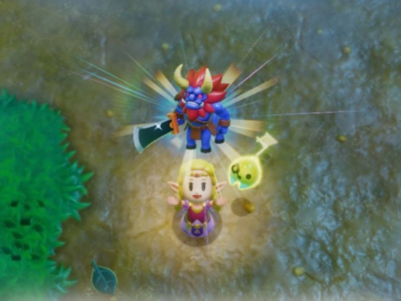 Der Leune in Legend of Zelda: Echoes of Wisdom