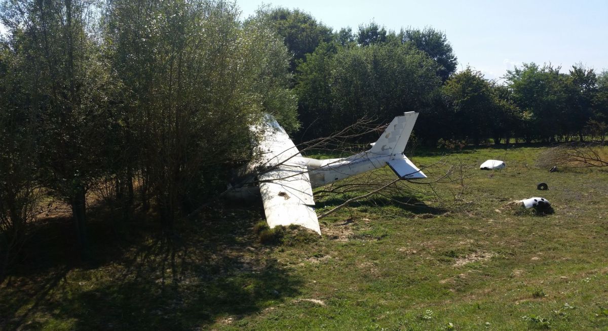 Flugzeug im Baum