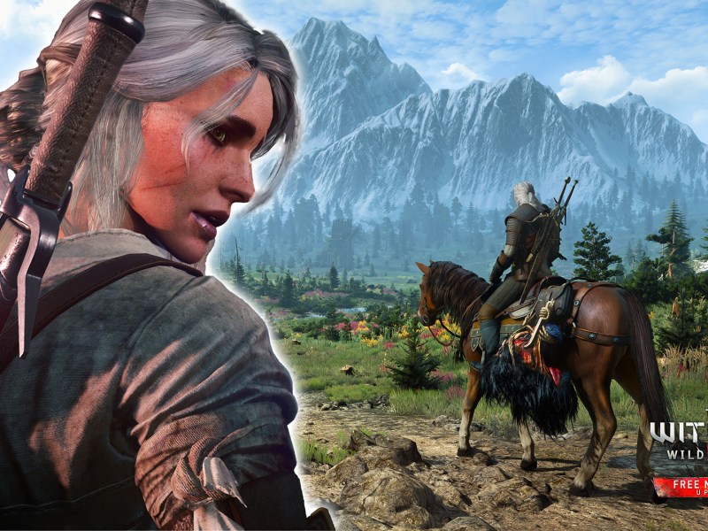 Ein Screenshot aus The Witcher 3 mit Ciri drin.