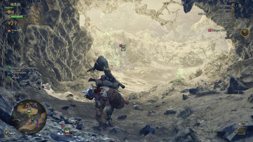 Ein Screenshot aus Monster Hunter Wilds.